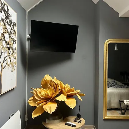Apartment & Espace Sauna Sur Rooftop Privatif Hyper Centre *